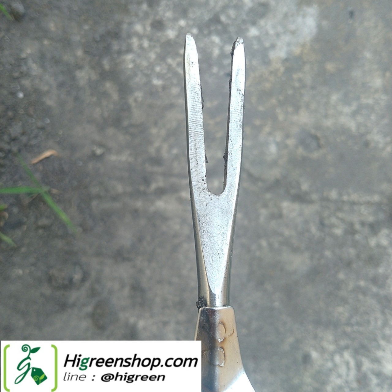 เสียมถอนหญ้าสแตนเลส สำหรับกำจัดวัชพืช จำนวน 1 เล่ม