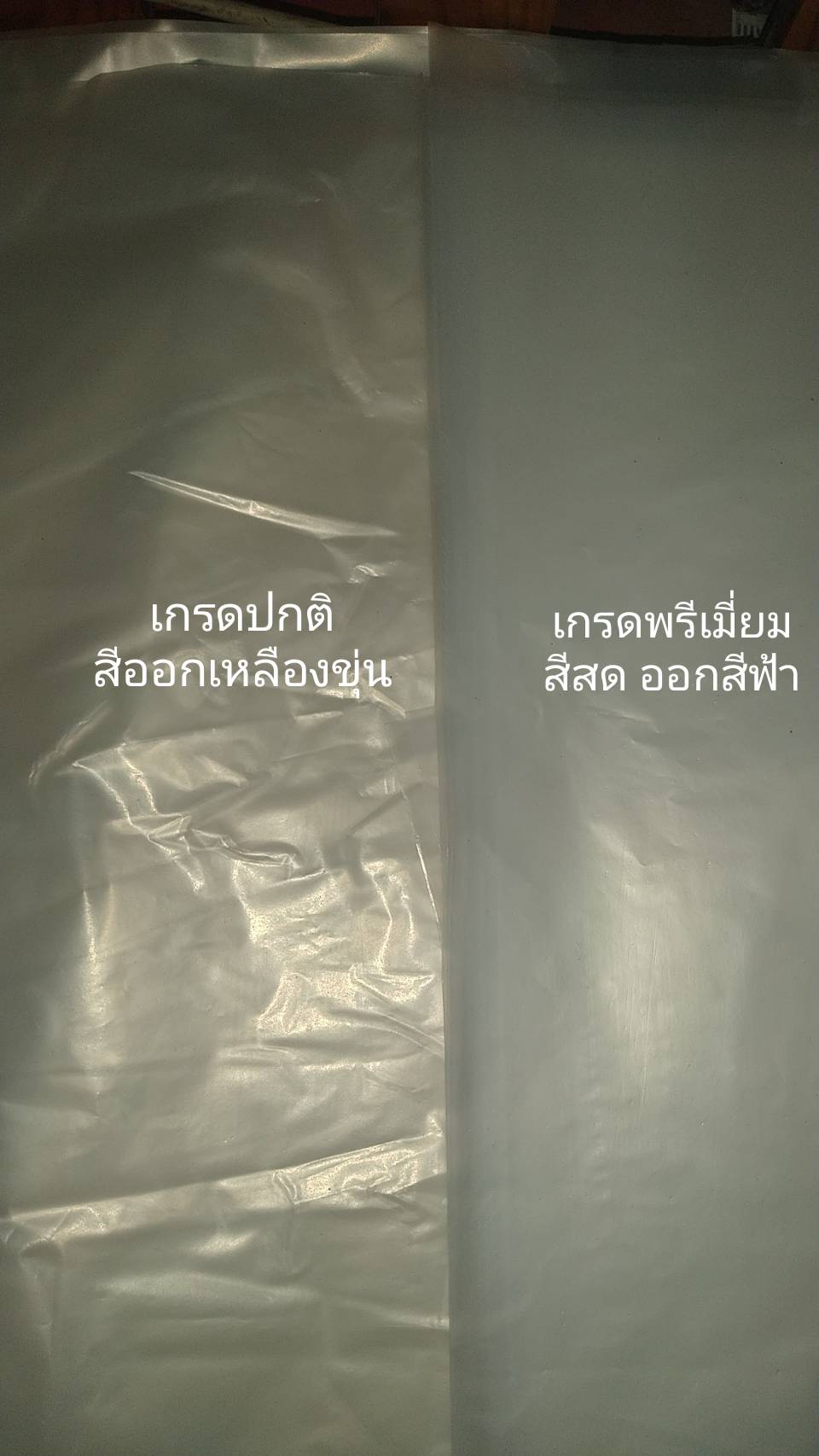 ถุงใส่ผัก เกรดพรีเมี่ยม 3-5 ก.ก. 210 กก.