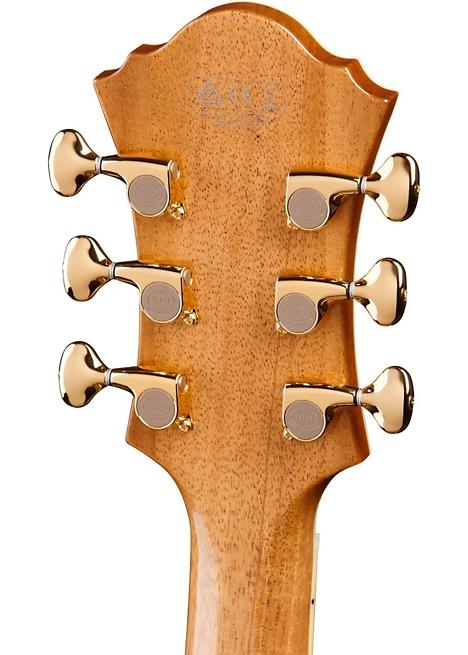 Ibanez PM200 Pat Metheny Signature Hollowbody Electric Guitar - Natural