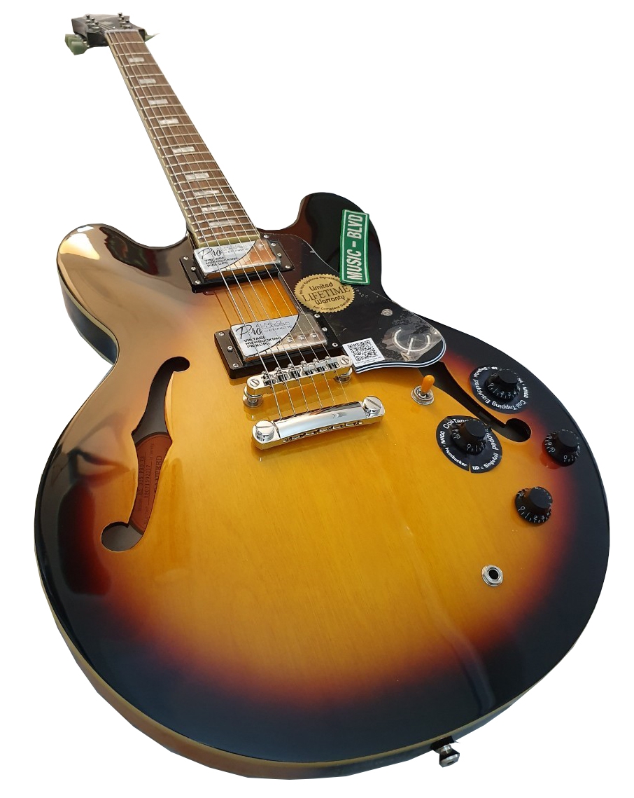 Epiphone Limited Edition ES-335 PRO Electric Guitar