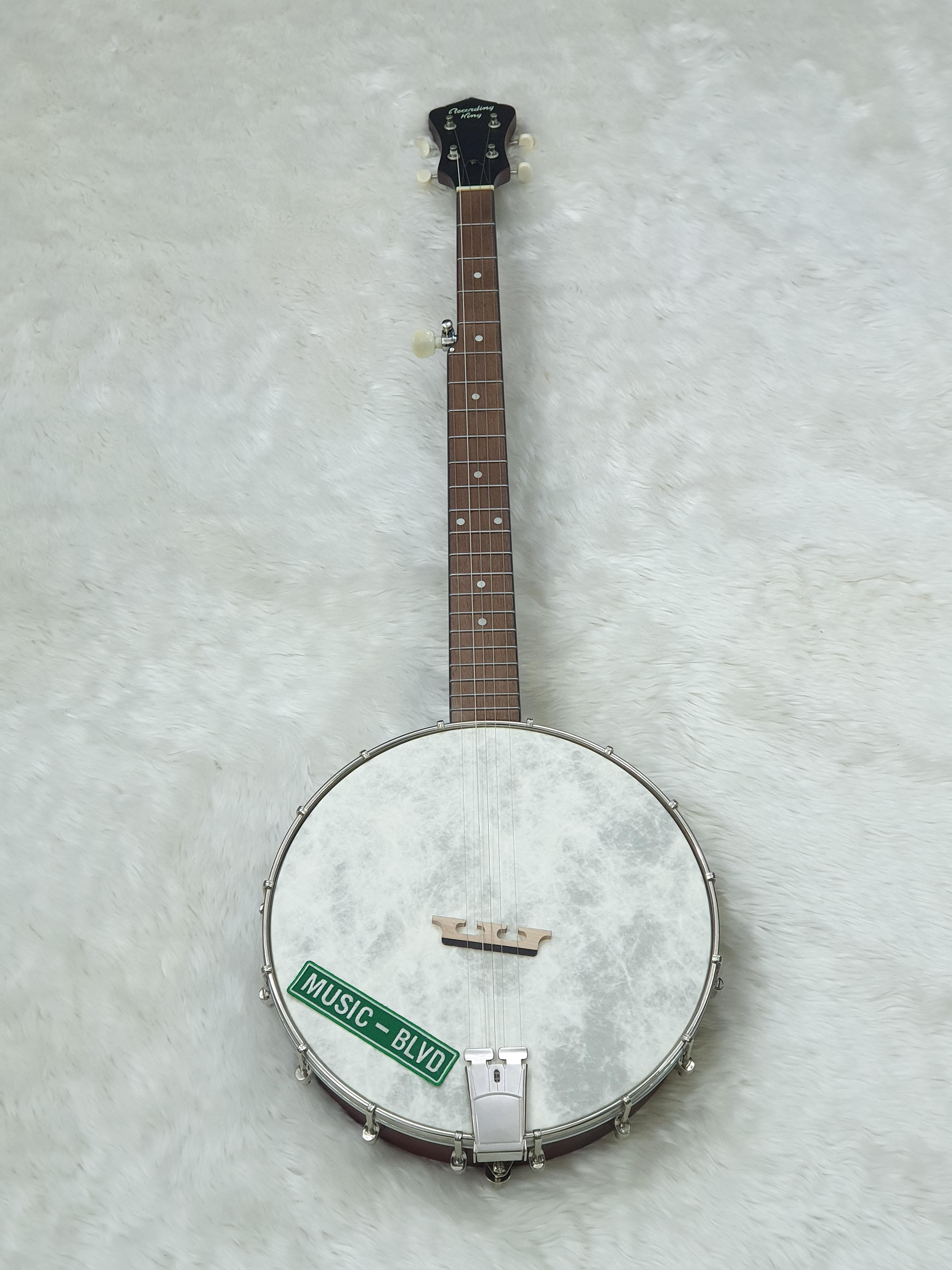 Recording King Dirty 30s Open Back Tone Ring Banjo