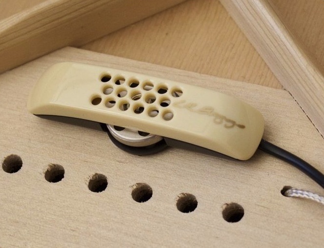 LR Baggs Anthem Stage Pro