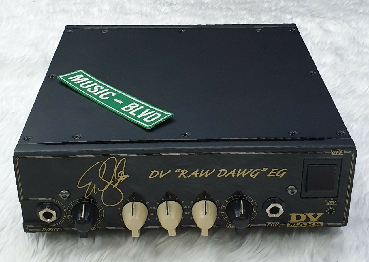 DV Mark Raw Dawg EG 250W Guitar Amp Head