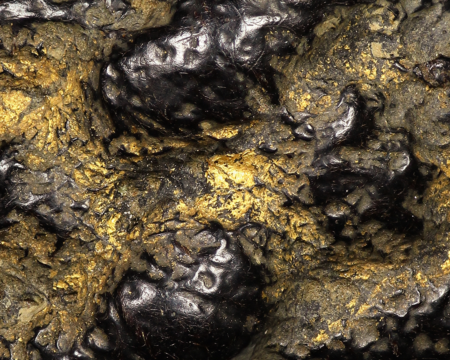 แหวนพิรอดหลวงพ่อม่วง วัดบ้านทวน จ.กาญจนบุรี( โชว์ )