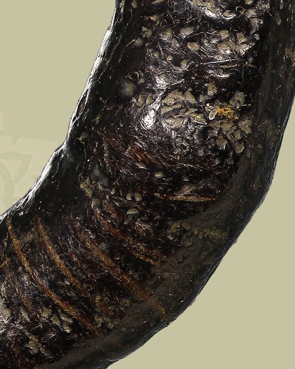 แหวนพิรอดหลวงพ่อม่วง วัดบ้านทวน จ.กาญจนบุรี( โชว์ )