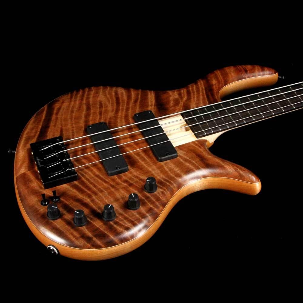 Elrick eVolution Gold Series 4-String Bass Flame Redwood Top - Natural