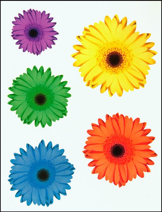 Daisy Rock Pixie Acoustic Guitar Starter Pack Blue