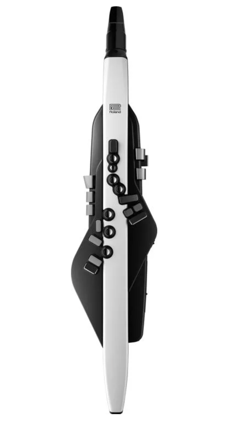 Roland Aerophone AE-20 Digital Wind Instrument