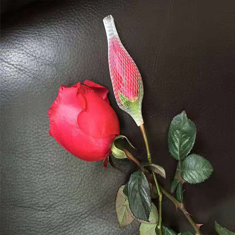 ใหม่!!! ตาข่ายห่อกุหลาบ แบบใส ไม่เปื่อยยุ่ย คนทำสวนกุหลาบนิยมใช้มาก เนื้อบางเบา กันกระแทกขั้นสุด ตาข่ายโฟมห่อดอกกุหลาบ แบบใส ตาข่ายห่อมะยงชิด เพื่อคงรูปทรงให้สวย ไม่เสียหายระหว่างขนส่ง จำนวน 1 กก.