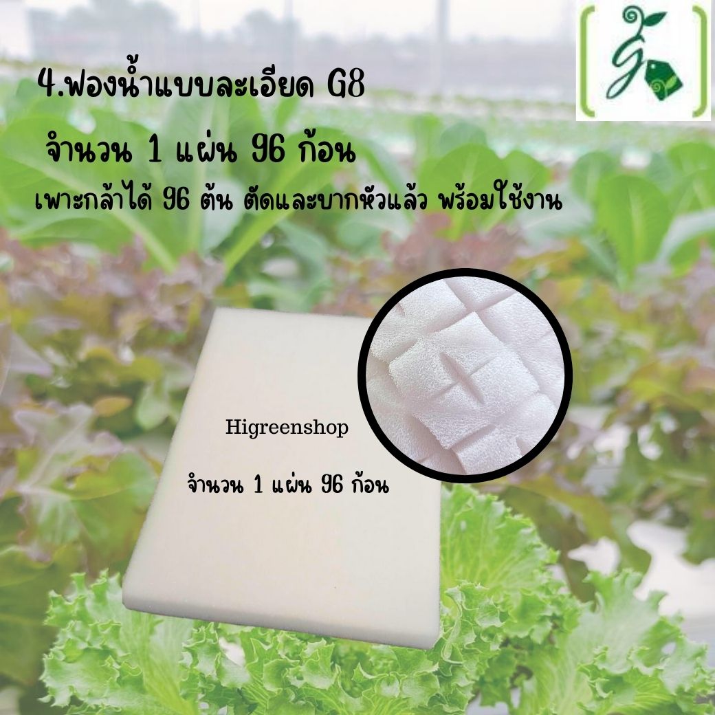 ชุด kid กล่องโฟมน้ำนิ่ง กล่องกุ้ง