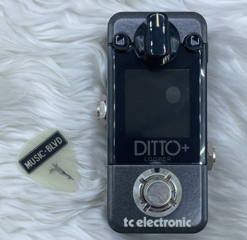 TC Electronic Ditto+ Looper Pedal