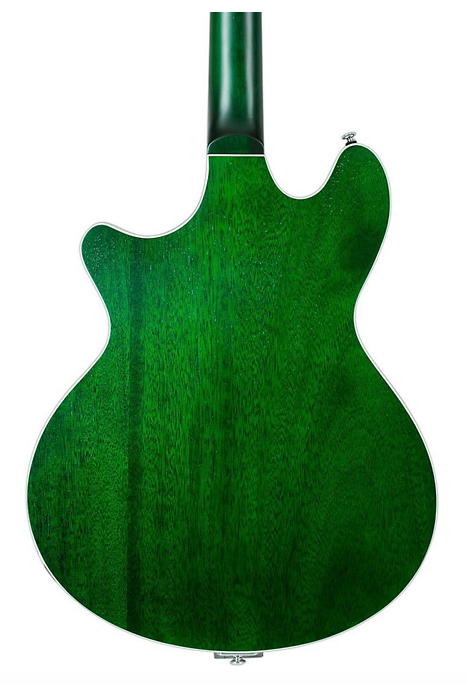 Schecter Guitar Research TSH-1B Semi-Hollow Body Electric Guitar