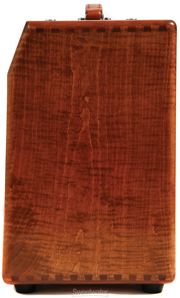 Mesa Boogie Mark V 90 Watt 1x12" Combo - Private Reserve - Flame Maple