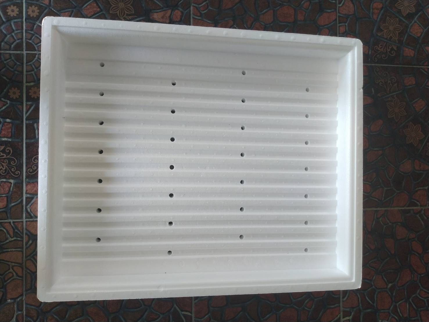 ถาดโฟมเพาะกล้า