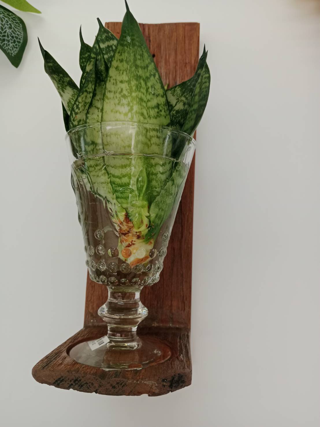 แบบที่ 6