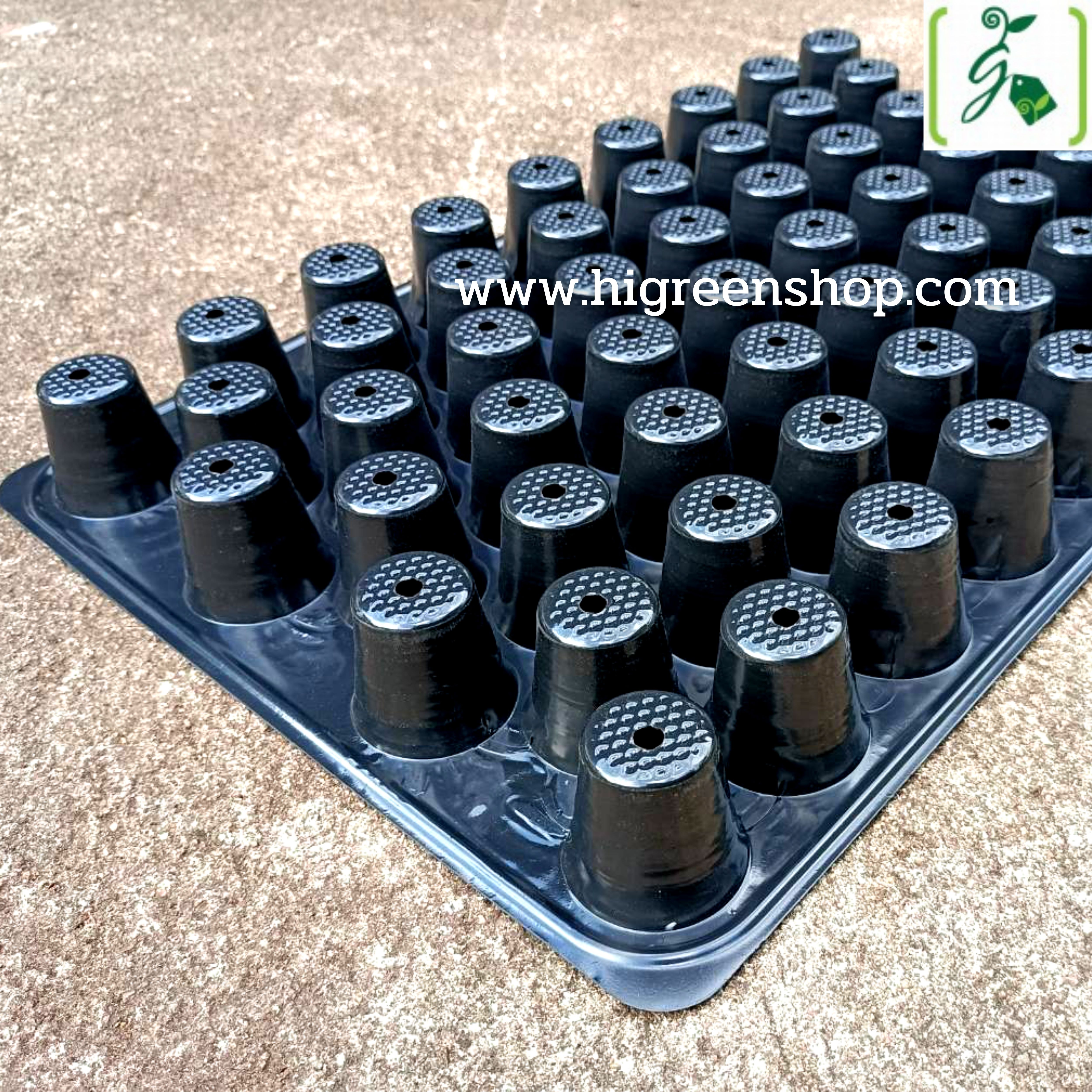 ถาดหลุมเพาะกล้าสีดำ 60 หลุม(100แผ่น/กล่อง)