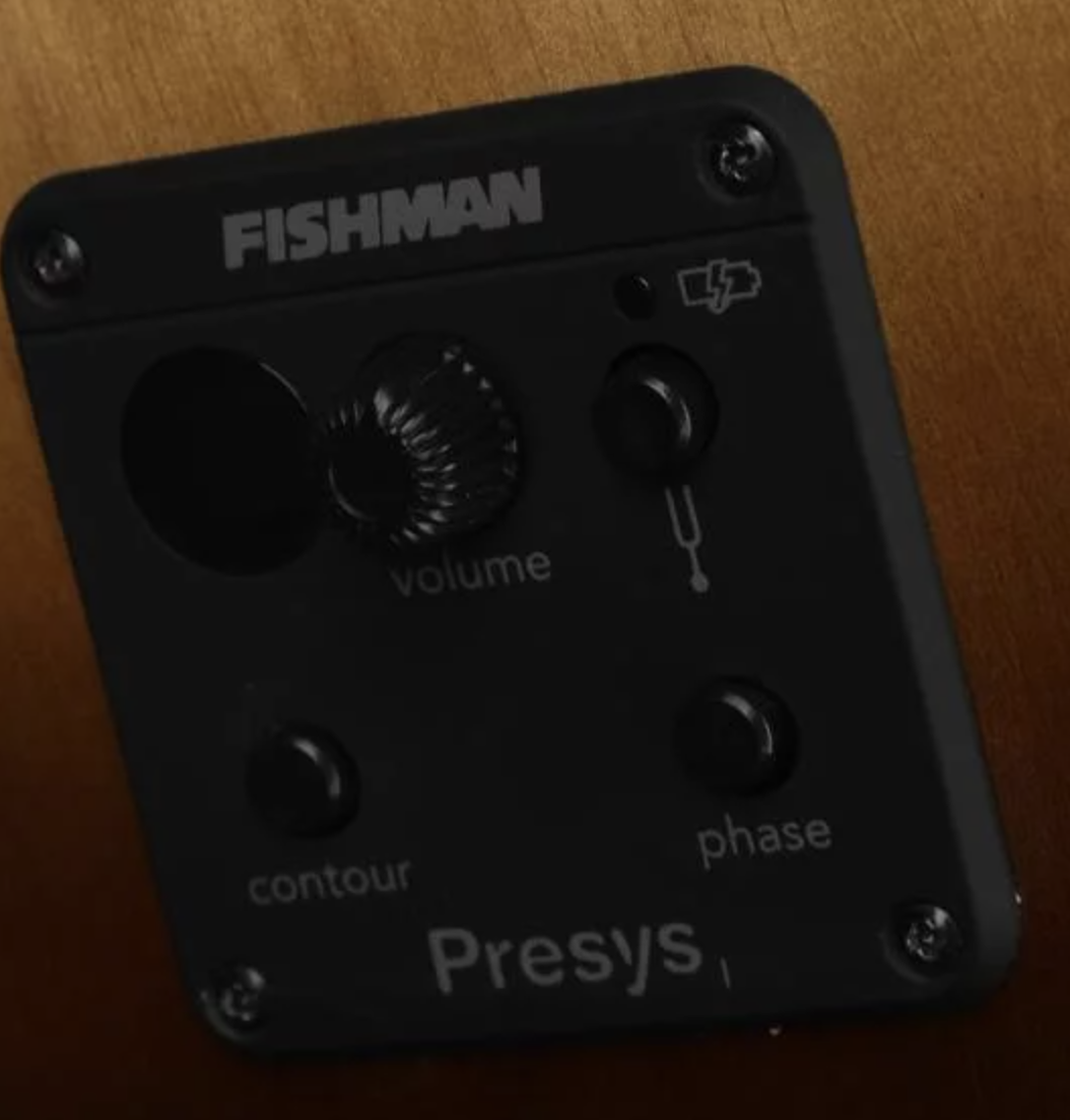 Breedlove ECO Pursuit Exotic S Concerto CE Acoustic-Electric Bass Guitar - Amber Myrtlewood