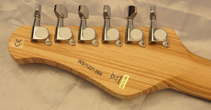 Fretlight FG-521 Electric Guitar with Built-in Lighted Learning System