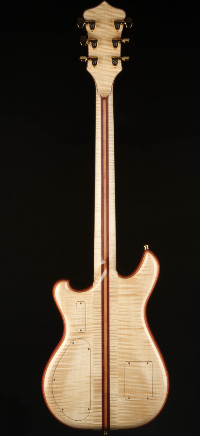 Alembic Further 6 Buckeye Burl - Resin Top