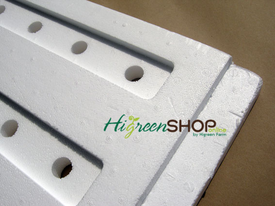 โฟมแผ่นปลูกผักไทย 50 รู