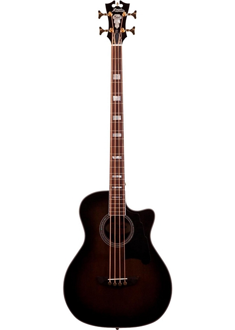 D Angelico Excel Mott Acoustic Bass Guitar