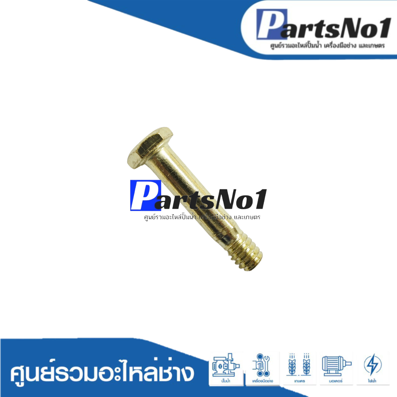 น๊อตชุบทองแกนยึดสปริงปั๊มชัก 1" (1200,1500 UMA, ปลากัด, ทั่วไป)