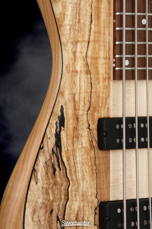 Fodera Emperor 5 Standard Special - Limited Run, Spalted Maple