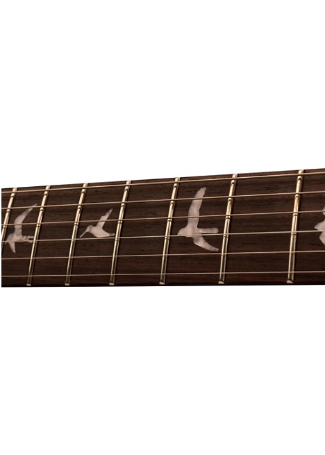 PRS 2017 SE Custom 22 Semi-Hollow Electric Guitar