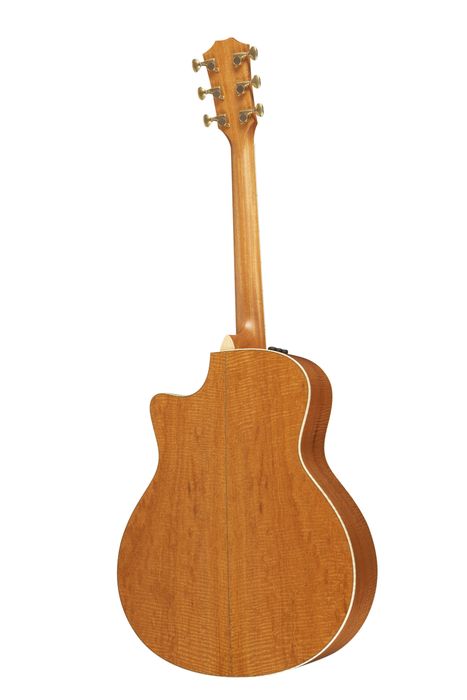 Taylor Limited Edition Builders' Reserve Series III Guitar/Amp Package