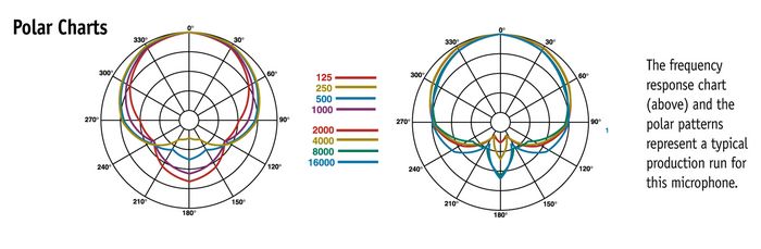 Audix VX-5 Handheld Supercardioid Condenser Microphone
