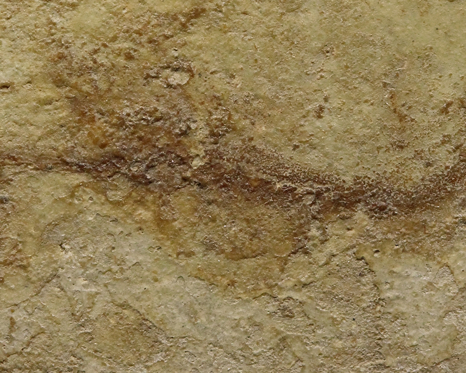 พระสมเด็จบางขุนพรหม พิมพ์สังหาฏิมีหู เนื้อเขียวก้านมะลิ (โชว์พระ)