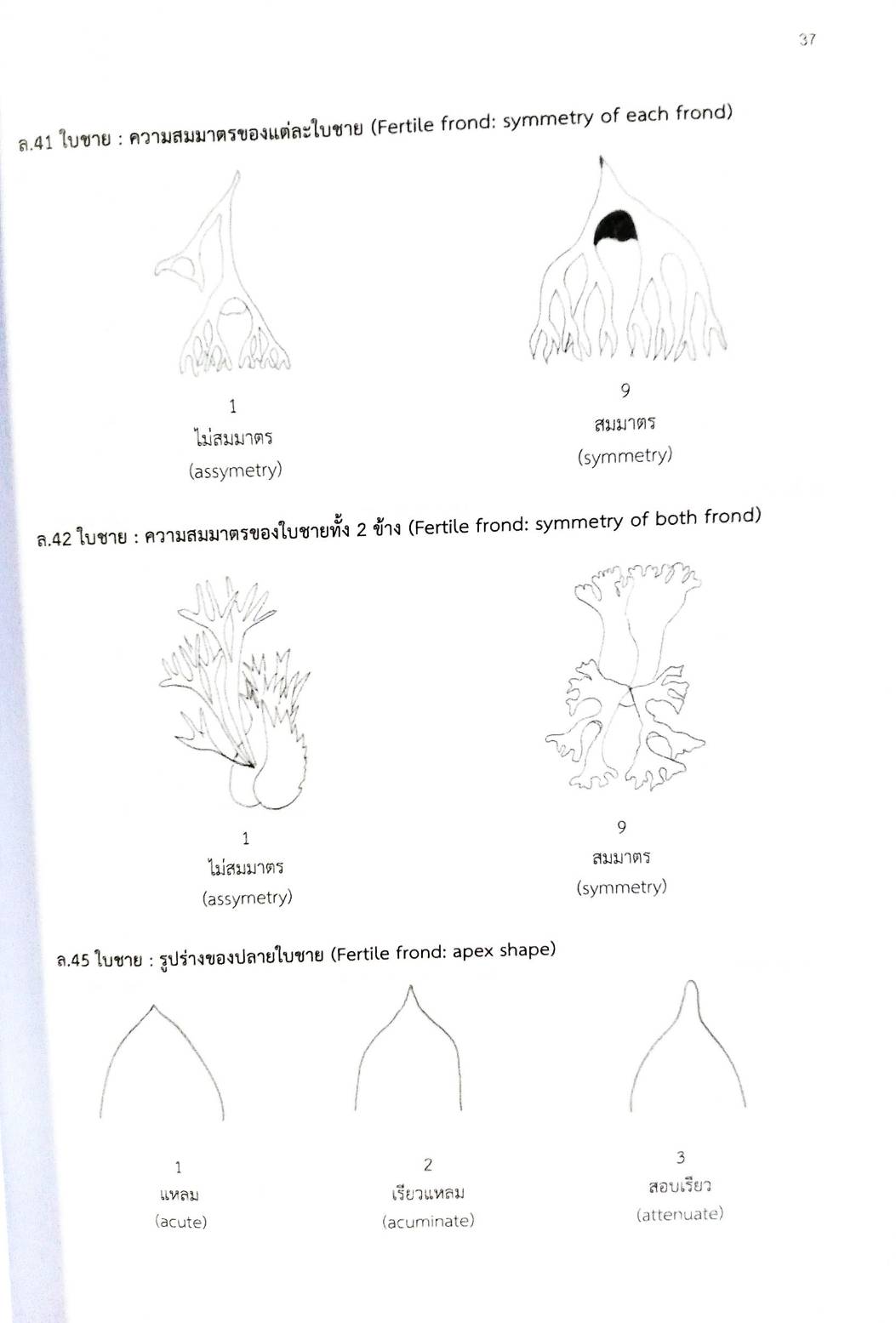 กฎหมายใหม่ปี 2567 ตอนที่ 261 ง พิเศษ (ระเบียบ ฯ การเกษตร พันธุ์พืชใหม่ ประกาศฯ ดิจิทัล มาตรฐานรัฐบาลดิจิทัล )