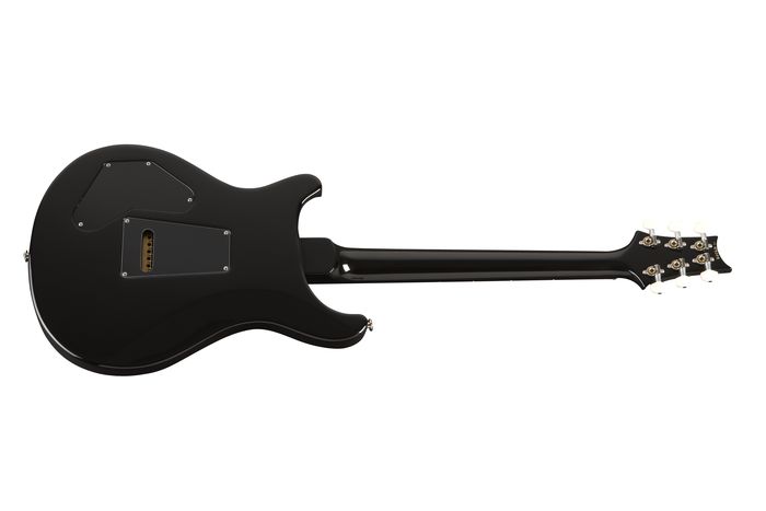 PRS DGT Standard with Birds Electric Guitar