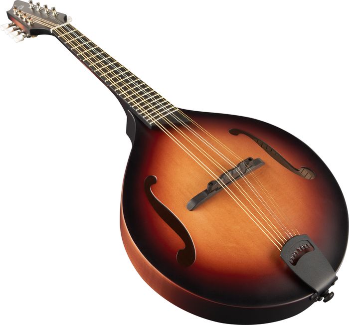 Breedlove American Series OF Mandolin