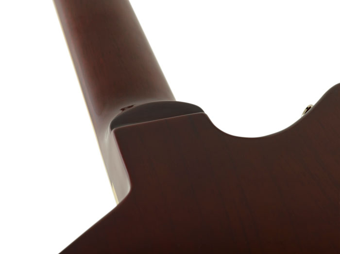 Puresalem Guitars Brave Ulysses