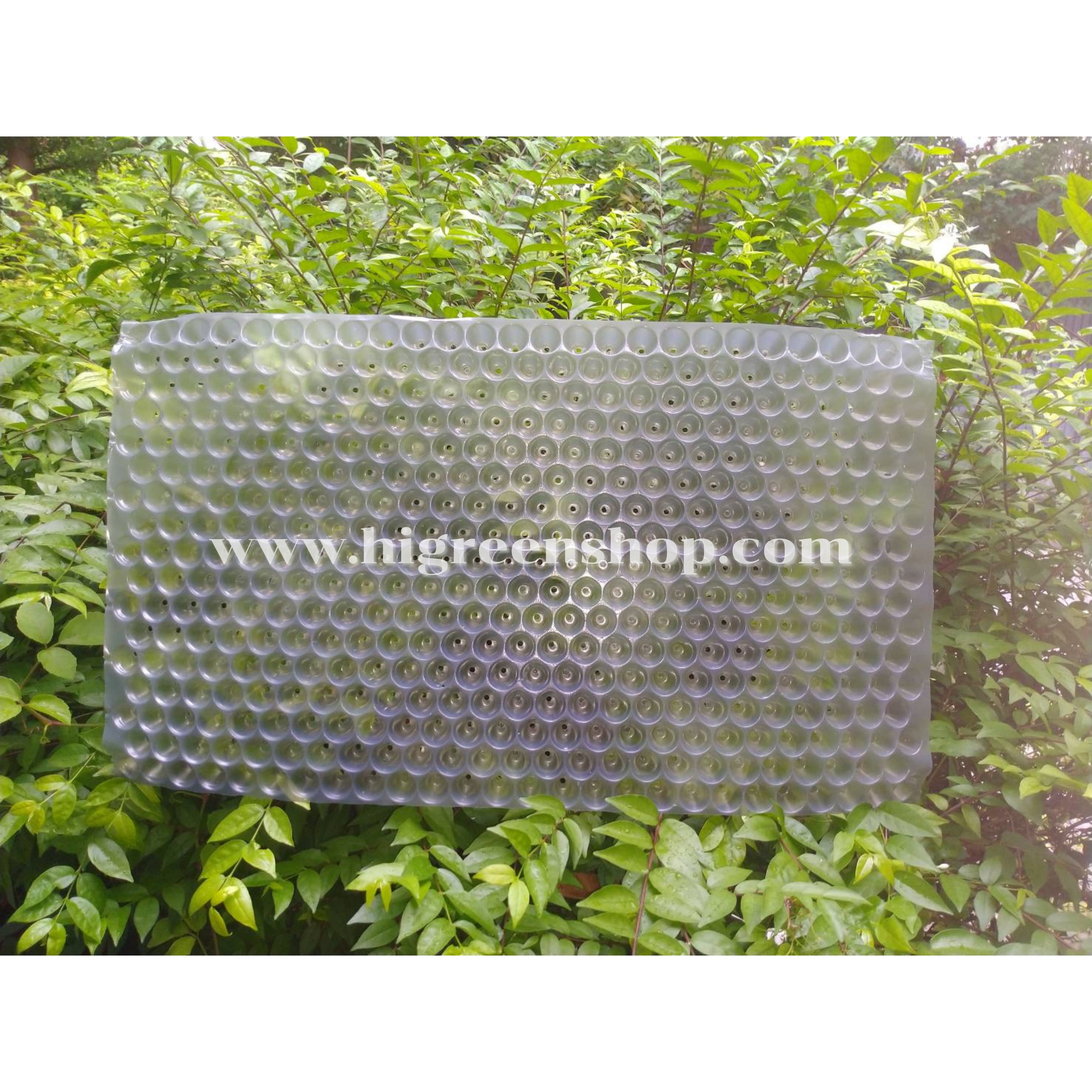 (ยกลัง/500ใบ)ถาดเพาะกล้านาโยน ถาดเพาะข้าว ถาดเพาะชำ ถาดเพาะเมล็ด 434หลุม/ใบ