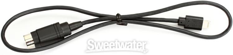 Pioneer DDJ-WEGO3 Compact DJ Controller with iOS Compatibility