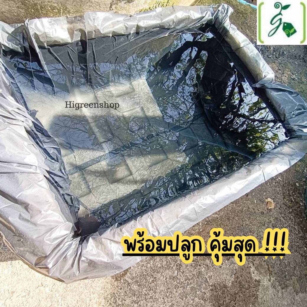 กล่องโฟมมือ 2 กล่องเปล่า กล่องปลา (สูง 35 cm.) กล่องปลูกผักไฮโดรโปนิกส์ เจาะรูฟรี + แถมถุงรองลัง เจาะรูสลัด 8 ต้น หรือผักไทย 20 ต้น เลือกได้ เซต 10 ลัง