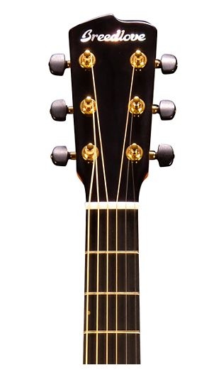 Breedlove Organic Collection Artista Concertina Cutaway CE Acoustic-Electric Guitar Natural Shadow Burst