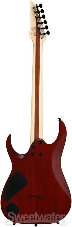 Ibanez RGAIX6FMTGF RGA Iron Label - Transparent Gray Flat