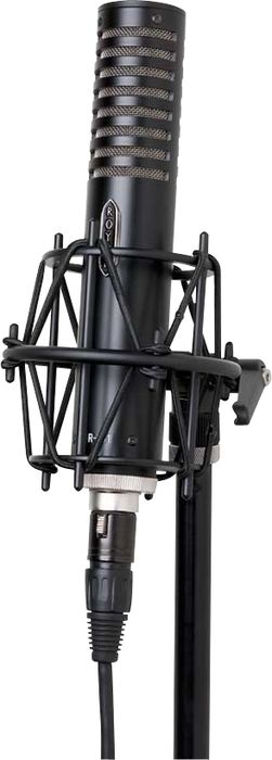 Royer R-101 Ribbon Mic (Black)