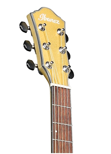 Ibanez AEWC10 Acoustic-Electric Guitar
