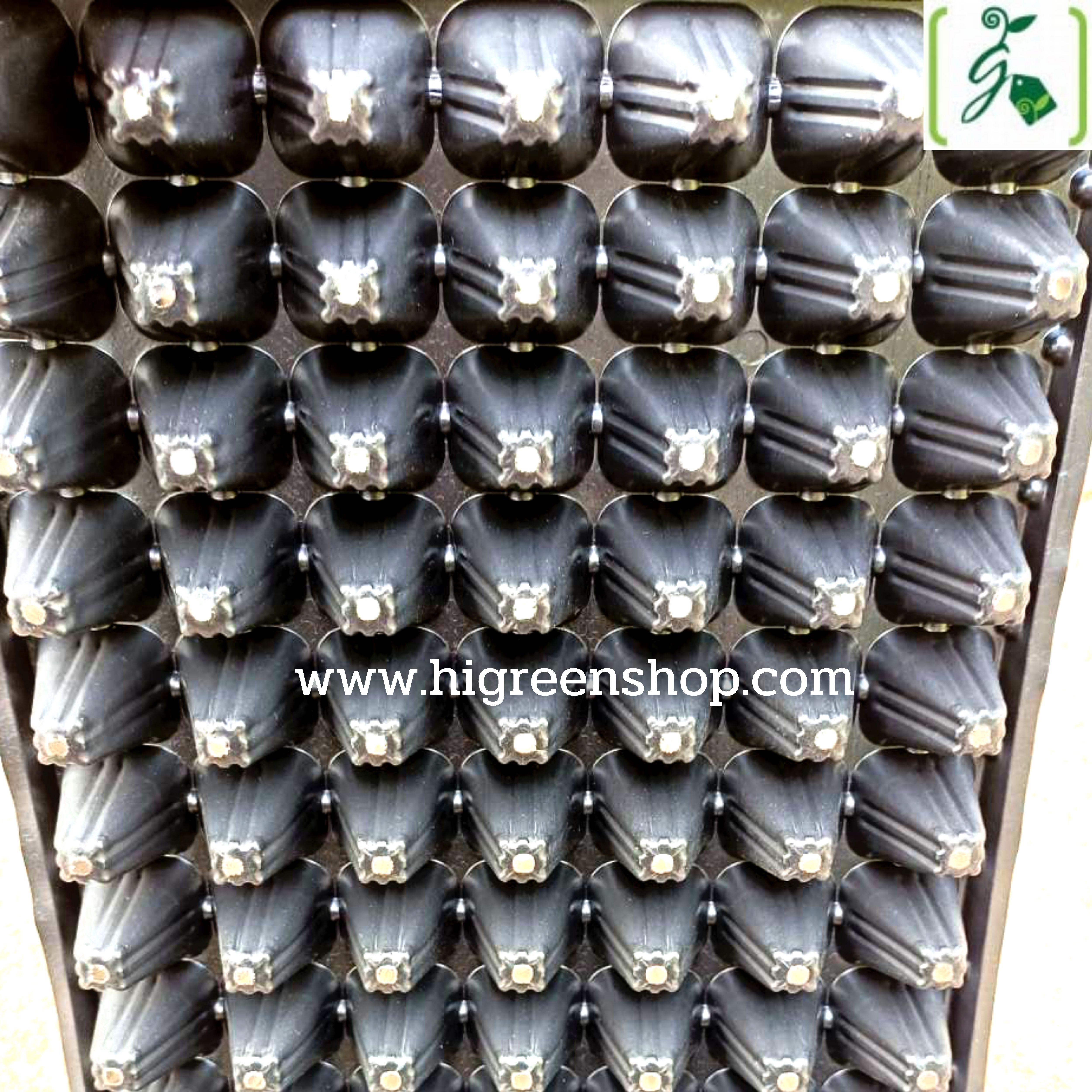 ถาดหลุมเพาะกล้าสีดำ 105 หลุม