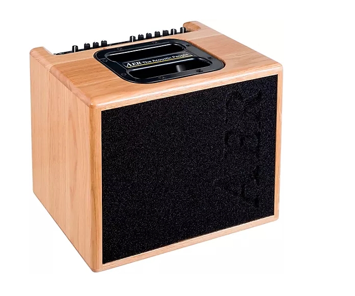 AER Compact 60/4 60W 1x8 Acoustic Guitar Combo Amp Black Gloss