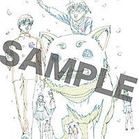 แฟ้มกินทามะ Gintama 3Z Shinpachi & Kagura (แท้)