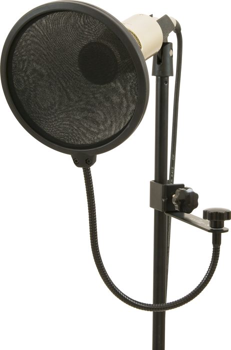 Sterling Audio ST55 / ST31 Condenser Mic Package