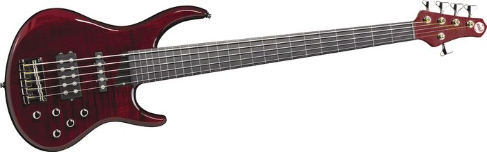 MTD Kingston Heir 5-String Fretless Bass Guitar
