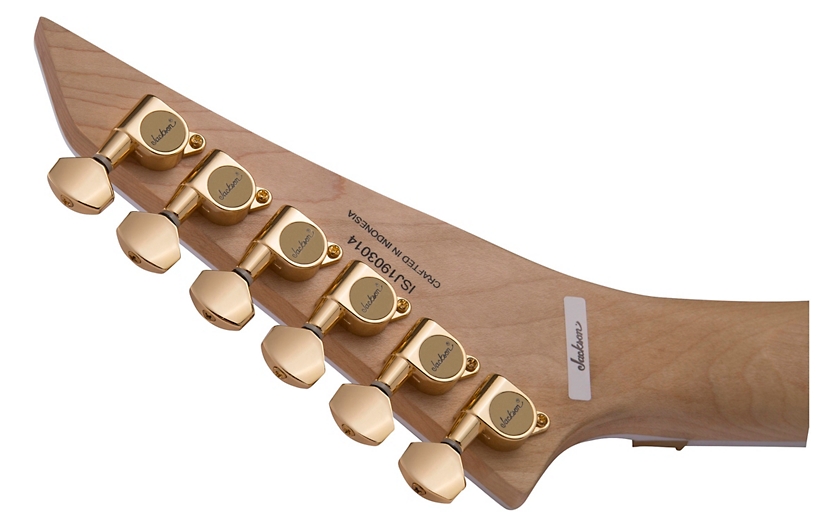 Jackson Pro Series Rhoads RR24 Electric Guitar