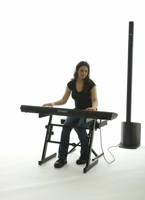 Bose L1 Compact System NEW REPLACEMENTS Phaelates free