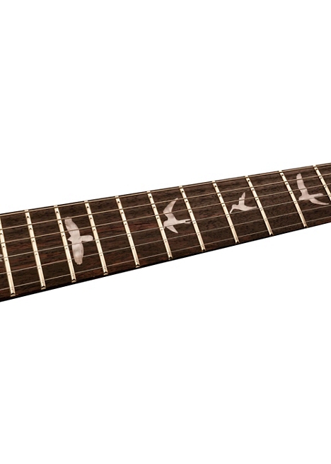 PRS SE Carlos Santana Electric Guitar